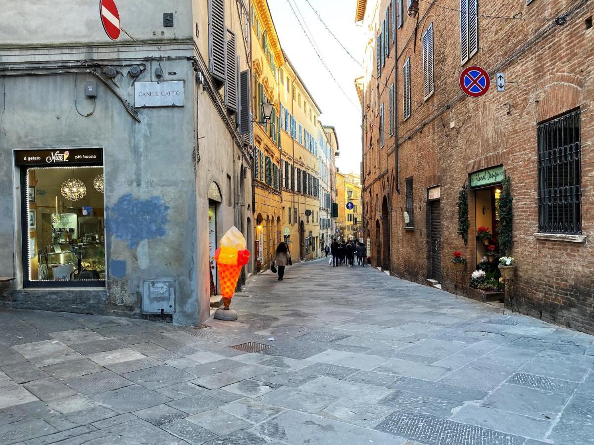 Il Mondo Di Claire - Cozy And Charm Siena Exteriör bild