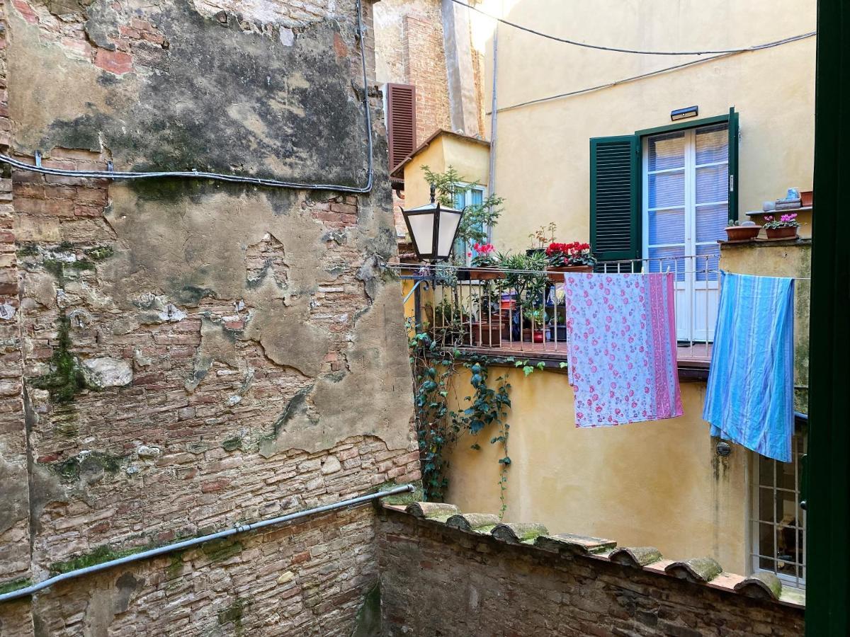 Il Mondo Di Claire - Cozy And Charm Siena Exteriör bild